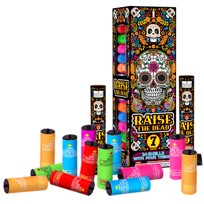 RAISE THE DEAD(7 INCH)